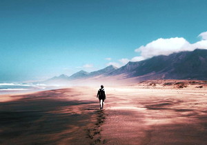 高速軟齒齒面干切滾刀