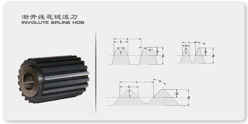 漸開線花鍵滾刀.jpg 漸開線花鍵滾刀.jpg